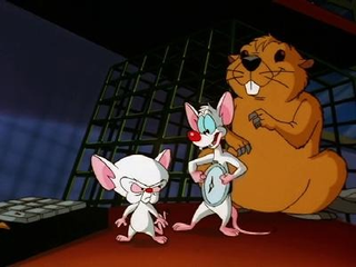 Illustration for article titled Every Single Pinky and the Brain Plan to Take Over the World, Ranked